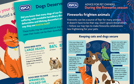 RSPCA Infographics